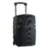 Enceinte Nomade RACER250 Evo AUDIOPHONY – Image 3